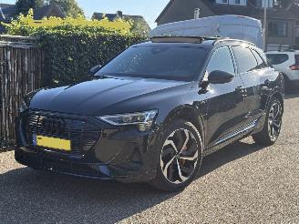 Voiture accidenté Audi E-tron 50 quattro S-LINE  PANORAMA VOLL 313 PK 71 kWh 2020/12