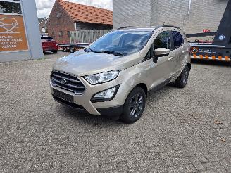 Vaurioauto  passenger cars Ford EcoSport 1000 TURBO 125 PK  69650 KM  FRISSE AUTO 2019/9