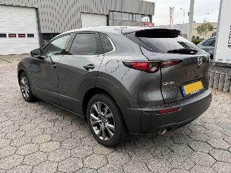 Mazda CX-30 2.0 e-SkyActiv-X M picture 6