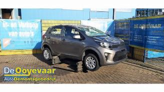 disassembly passenger cars Kia Picanto Picanto (JA), Hatchback, 2017 1.0 12V 2019/10