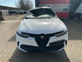 disassembly passenger cars Alfa Romeo Tonale Tonale, SUV, 2022 1.3 T Hybrid Q4 2025/1