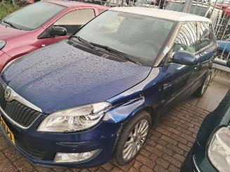 Démontage voiture Skoda Fabia Fabia II (5J), Hatchback 5-drs, 2006 / 2014 1.2 TSI 2010/5