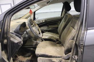 Ford EcoSport  picture 11
