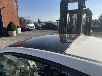 Fiat 500  picture 13