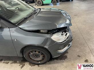 Skoda Fabia  picture 5