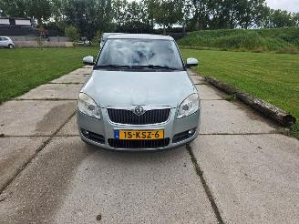 Schadeauto Skoda Fabia  2010/2