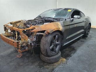 Ford Mustang Fastback 2.3 EcoBoost picture 3