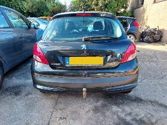Sloopauto Peugeot 207  2010/6